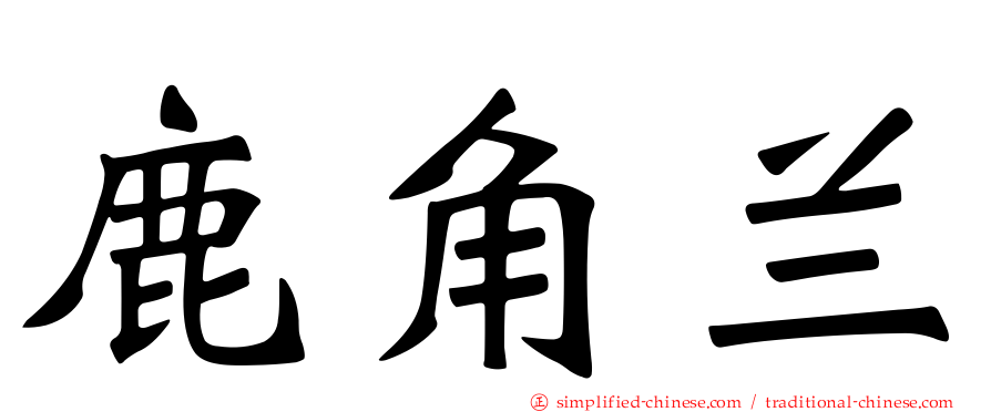 鹿角兰