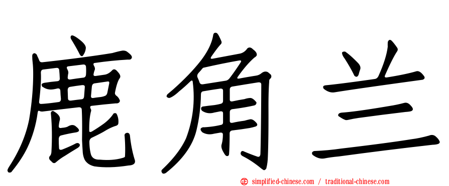 鹿角兰