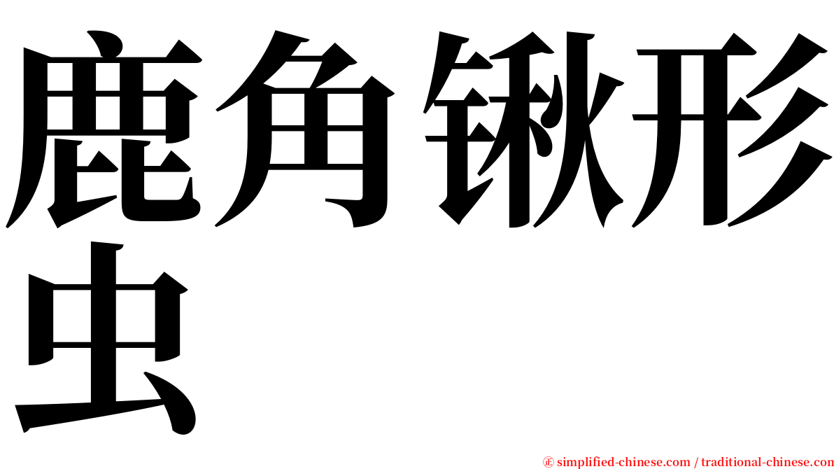 鹿角锹形虫 serif font