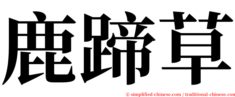 鹿蹄草 serif font