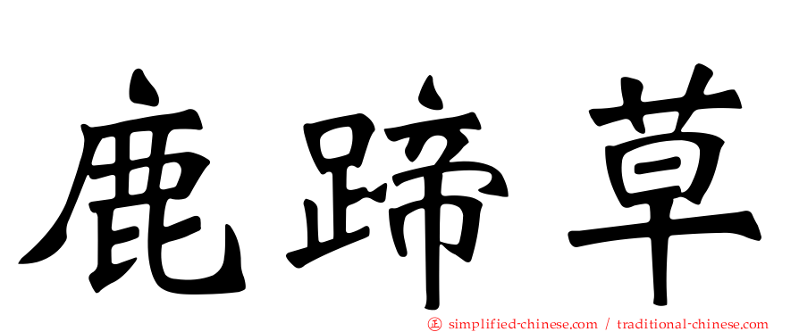 鹿蹄草