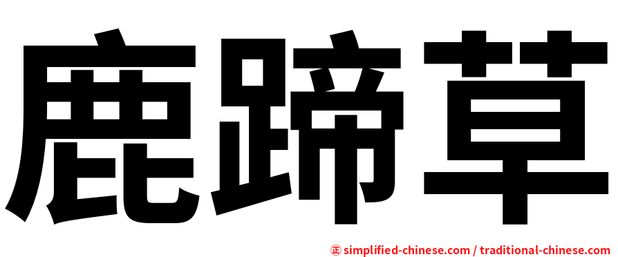 鹿蹄草