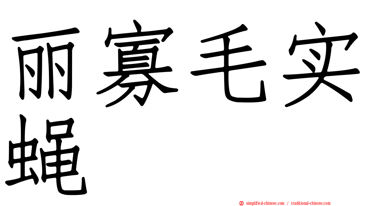 丽寡毛实蝇