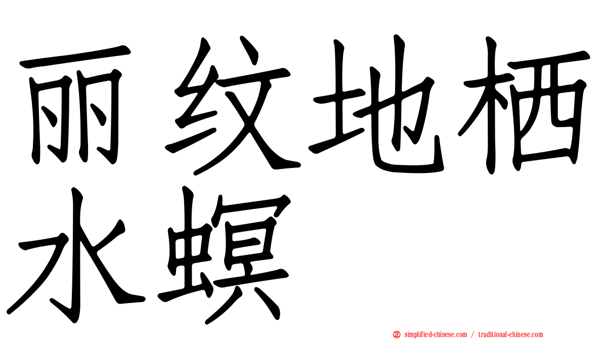 丽纹地栖水螟