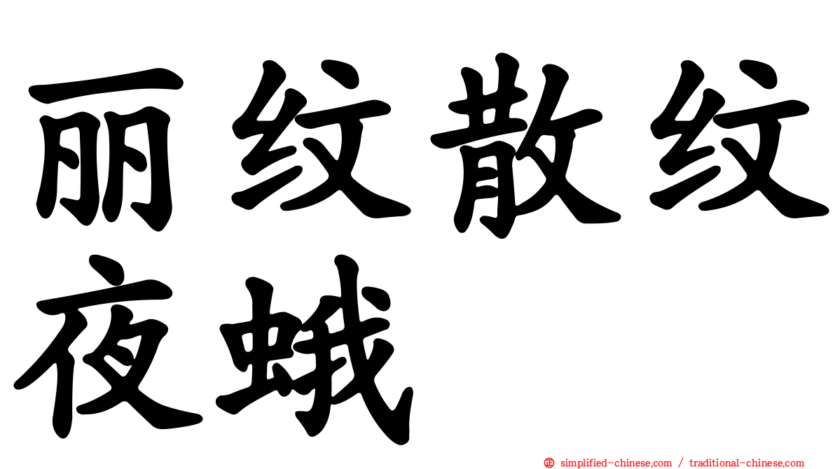 丽纹散纹夜蛾