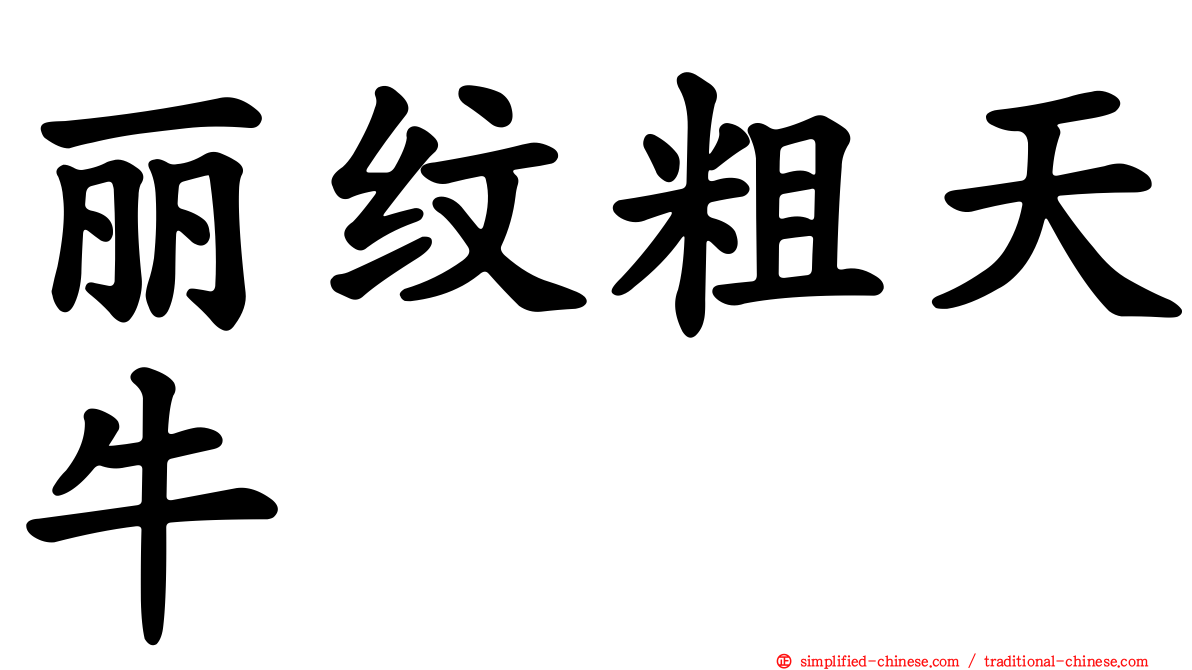 丽纹粗天牛