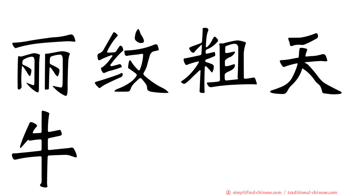 丽纹粗天牛