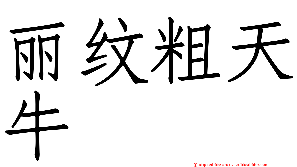 丽纹粗天牛