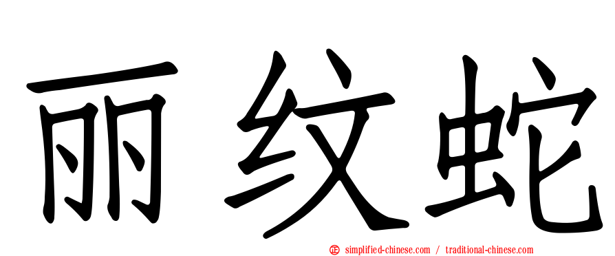丽纹蛇