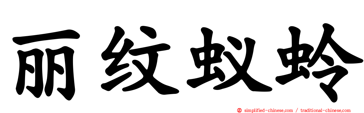 丽纹蚁蛉