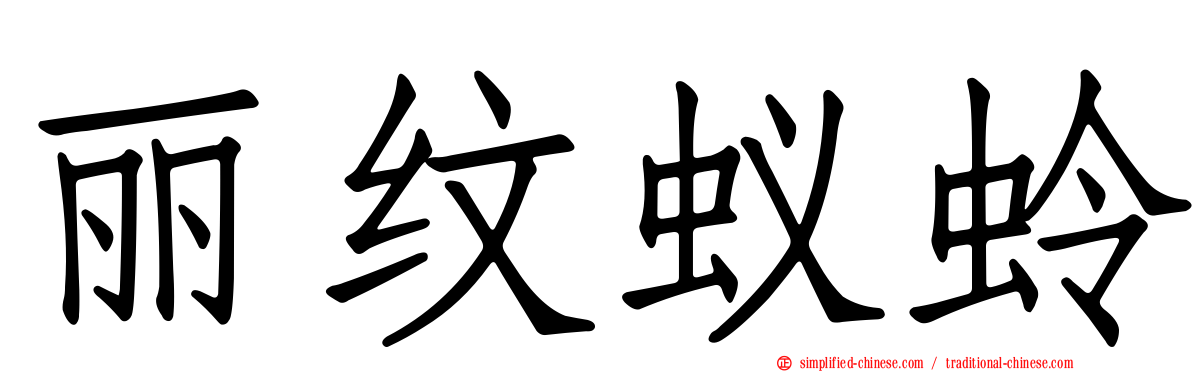 丽纹蚁蛉