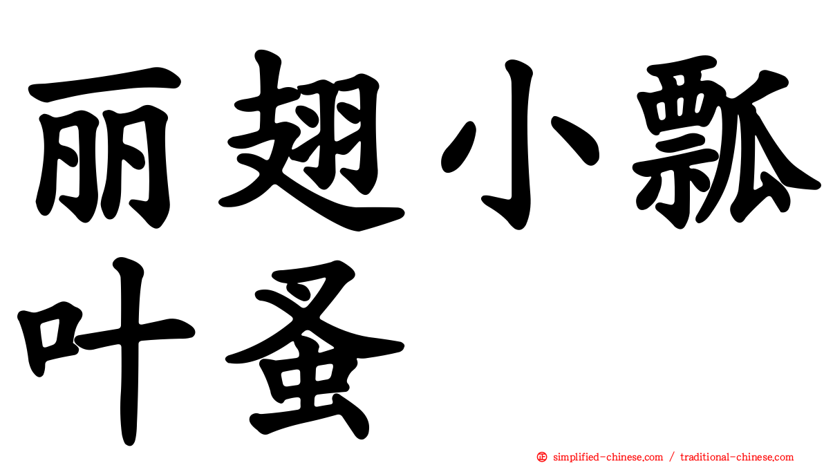 丽翅小瓢叶蚤