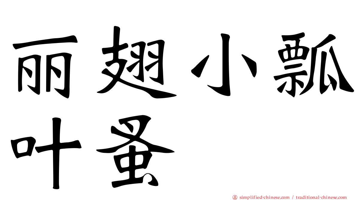 丽翅小瓢叶蚤