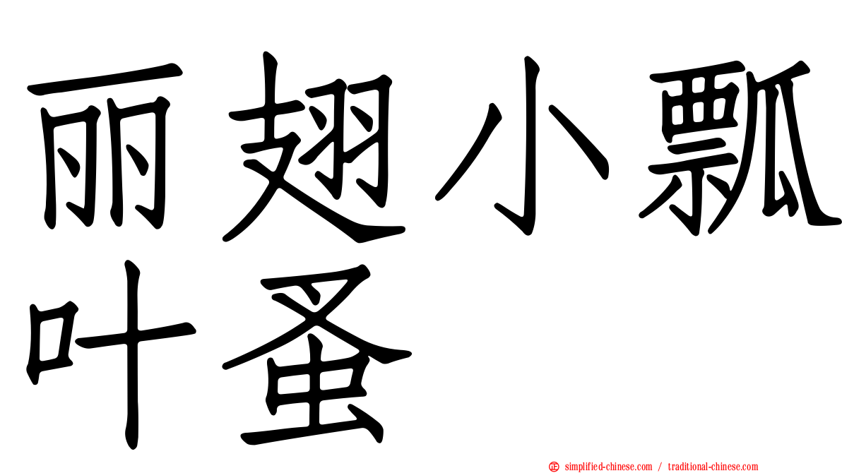 丽翅小瓢叶蚤