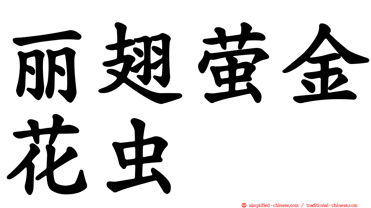 丽翅萤金花虫