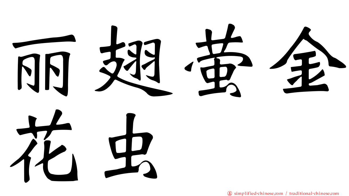 丽翅萤金花虫