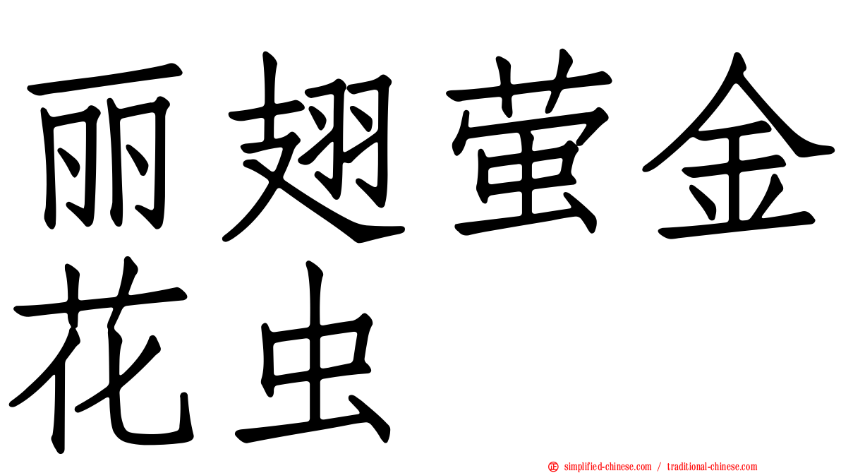 丽翅萤金花虫
