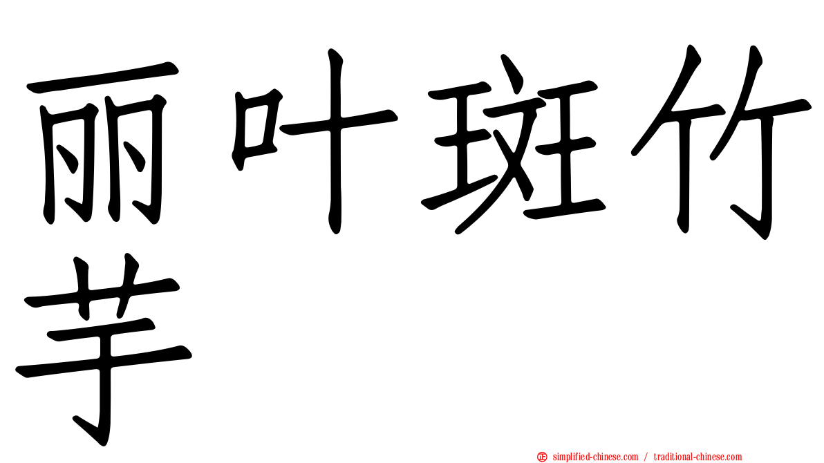 丽叶斑竹芋