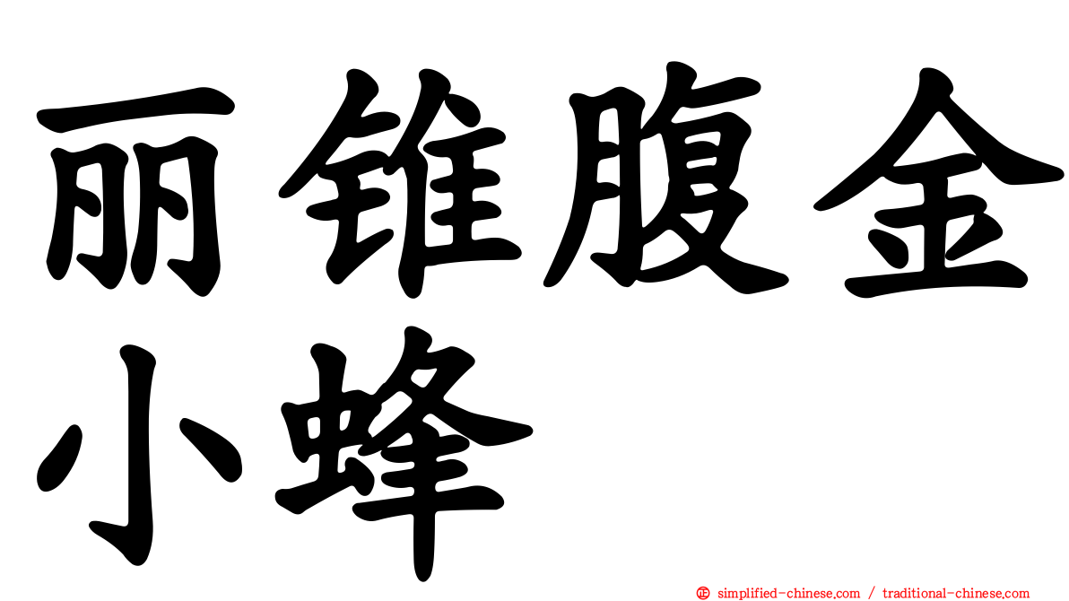丽锥腹金小蜂