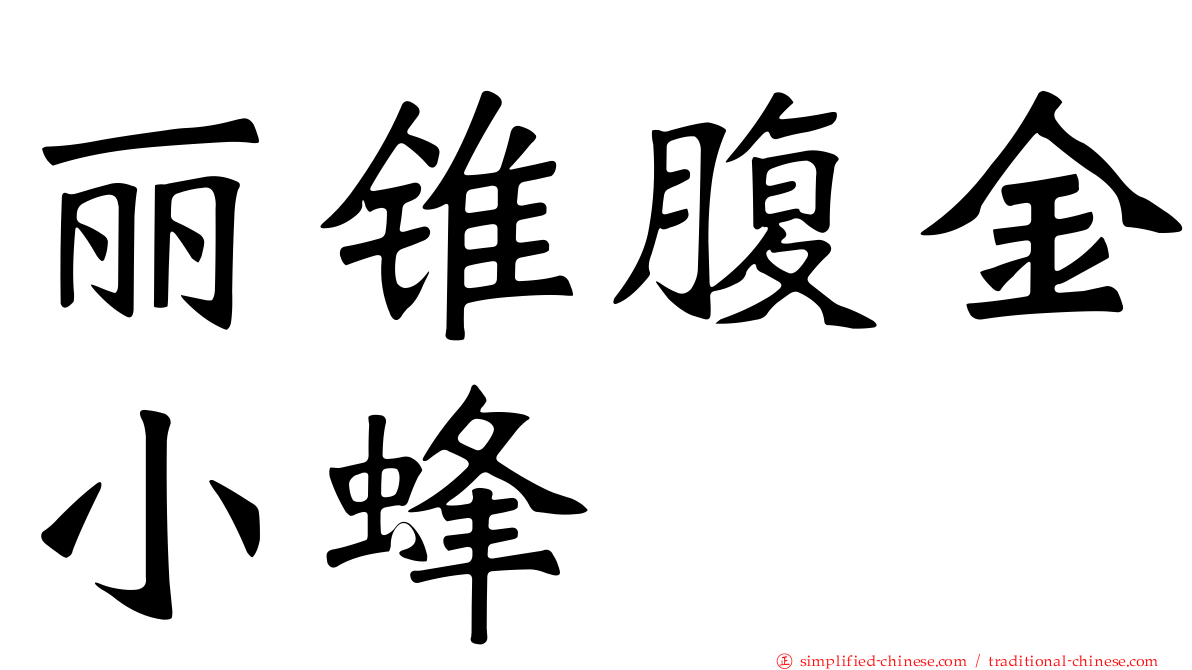 丽锥腹金小蜂