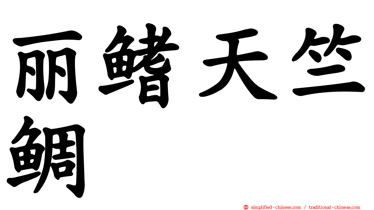 丽鳍天竺鲷