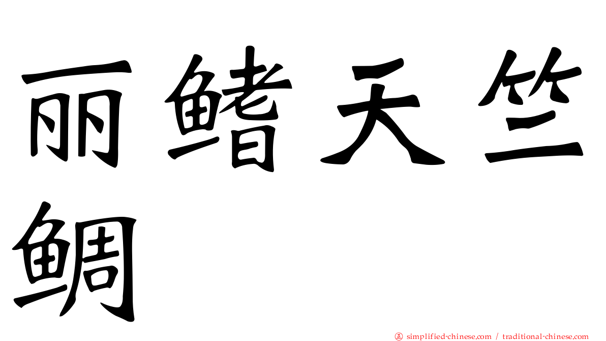 丽鳍天竺鲷