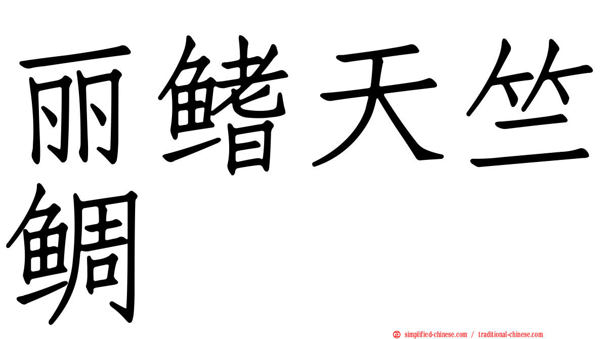 丽鳍天竺鲷