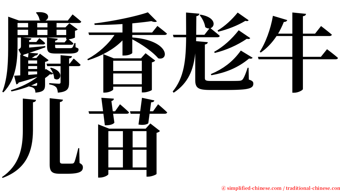 麝香尨牛儿苗 serif font