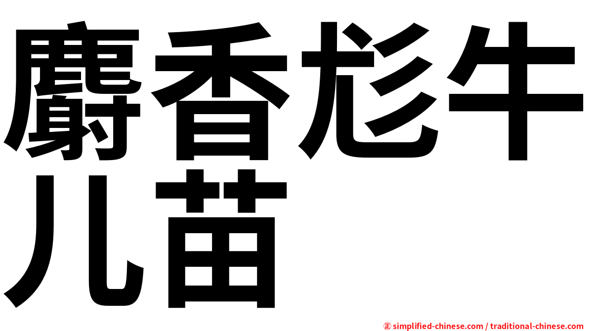 麝香尨牛儿苗