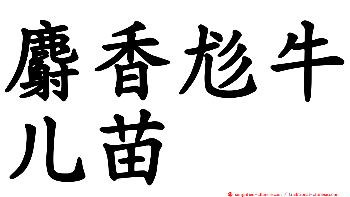 麝香尨牛儿苗