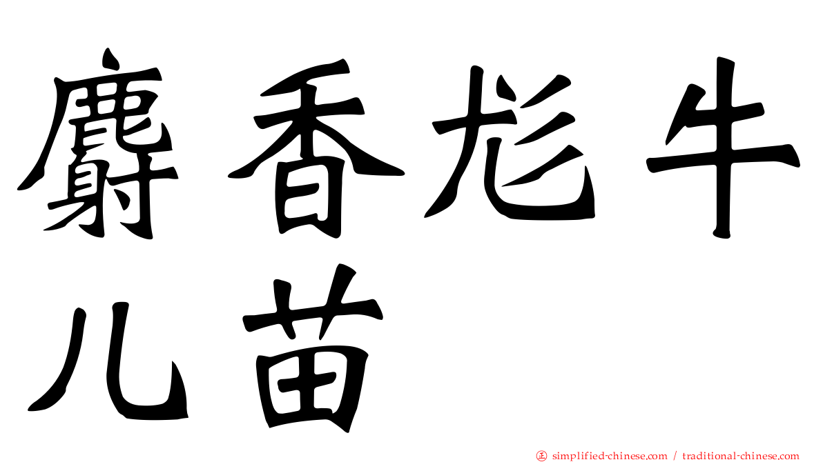 麝香尨牛儿苗