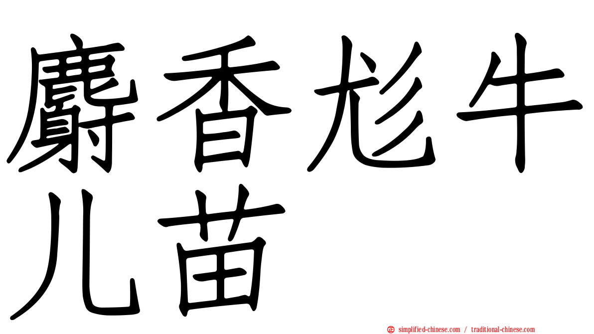 麝香尨牛儿苗