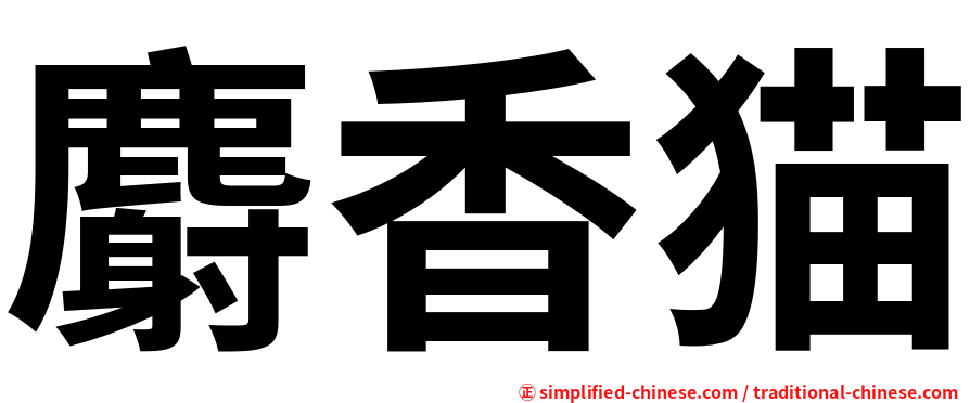 麝香猫