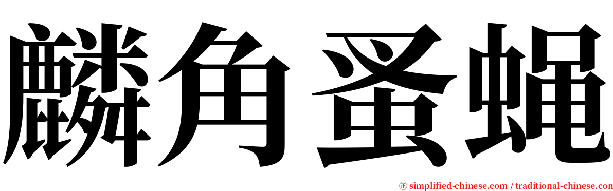 麟角蚤蝇 serif font