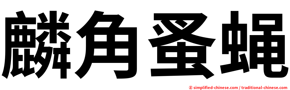 麟角蚤蝇
