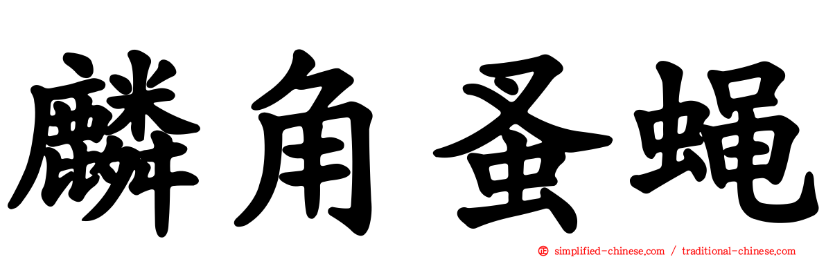 麟角蚤蝇