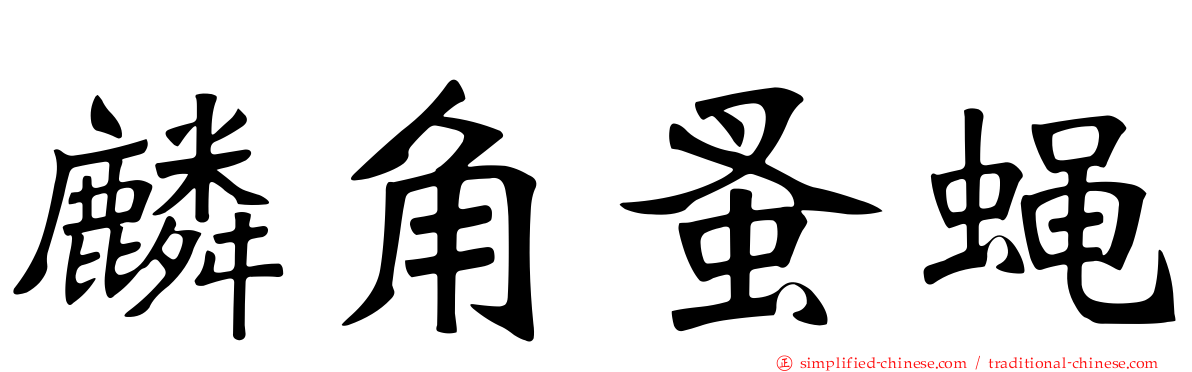 麟角蚤蝇