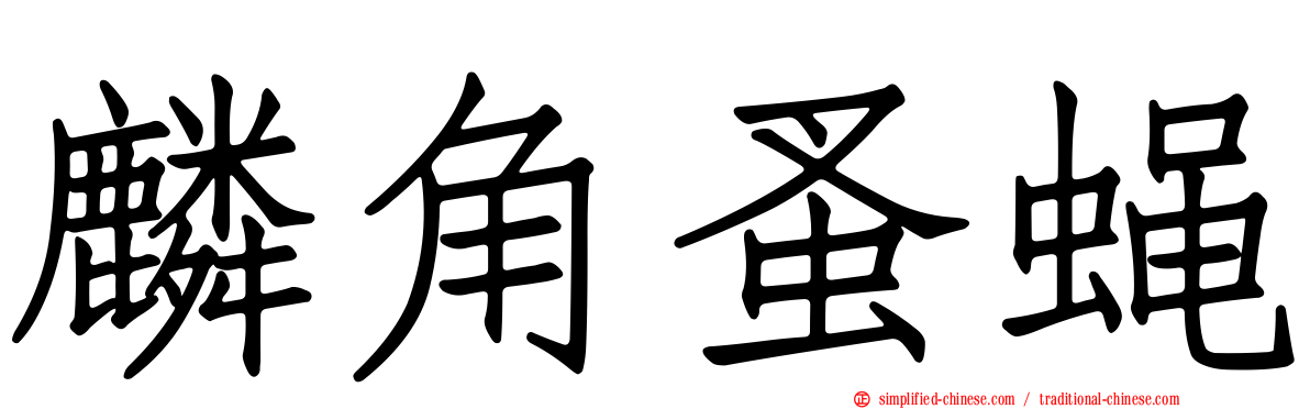 麟角蚤蝇