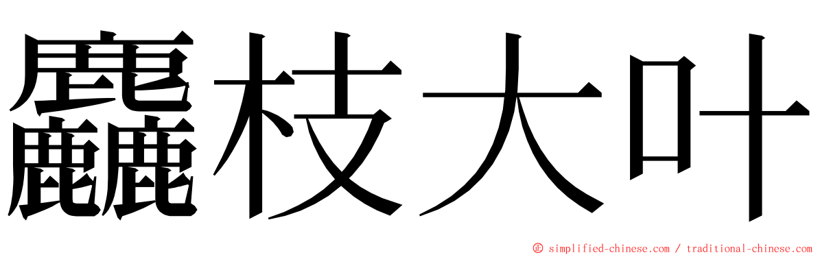 麤枝大叶 ming font