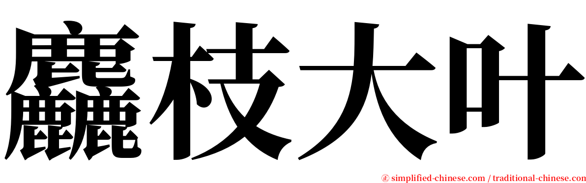 麤枝大叶 serif font