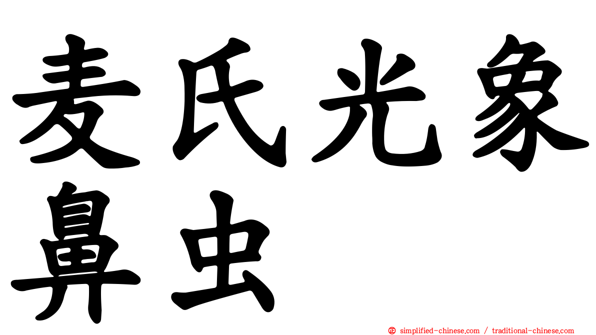 麦氏光象鼻虫