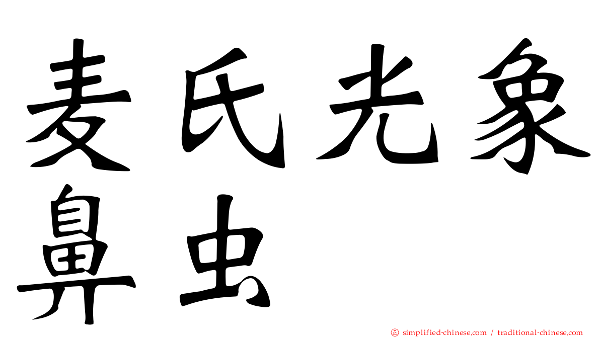 麦氏光象鼻虫
