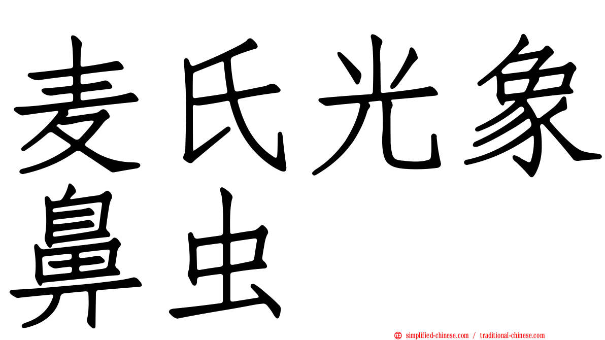 麦氏光象鼻虫