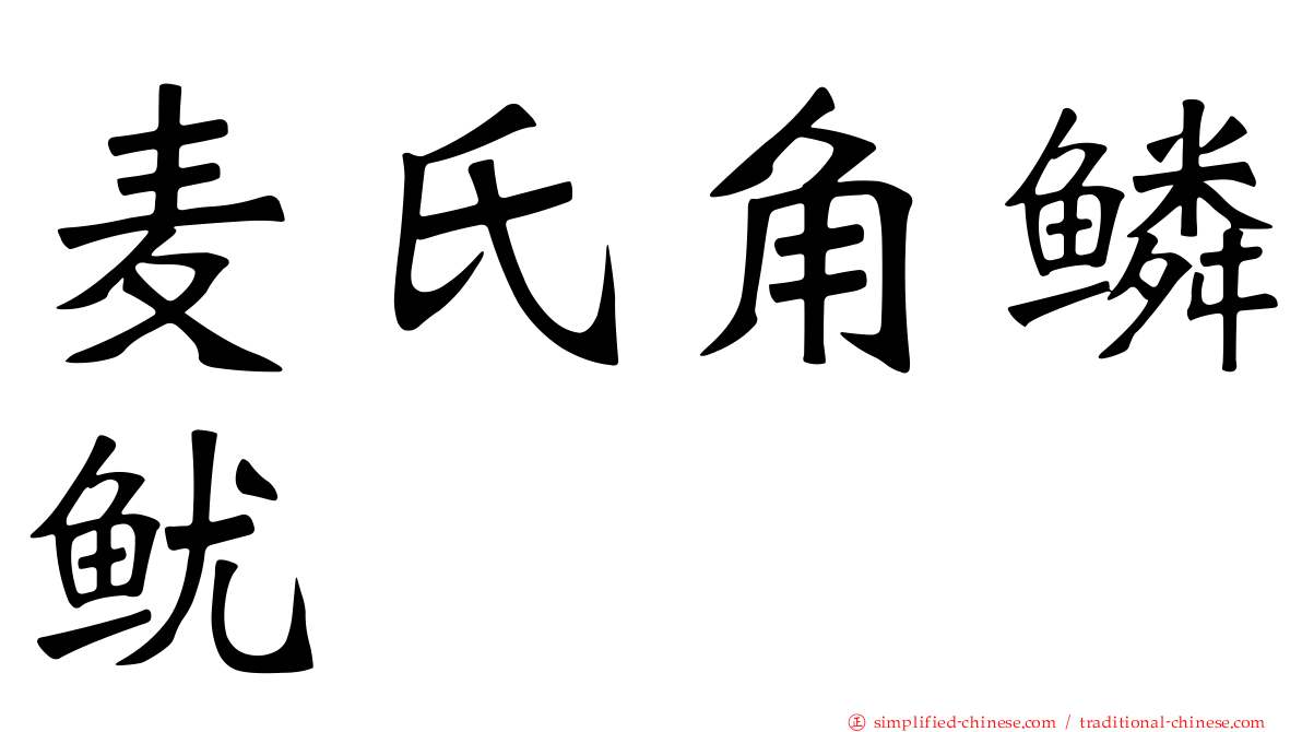 麦氏角鳞鱿