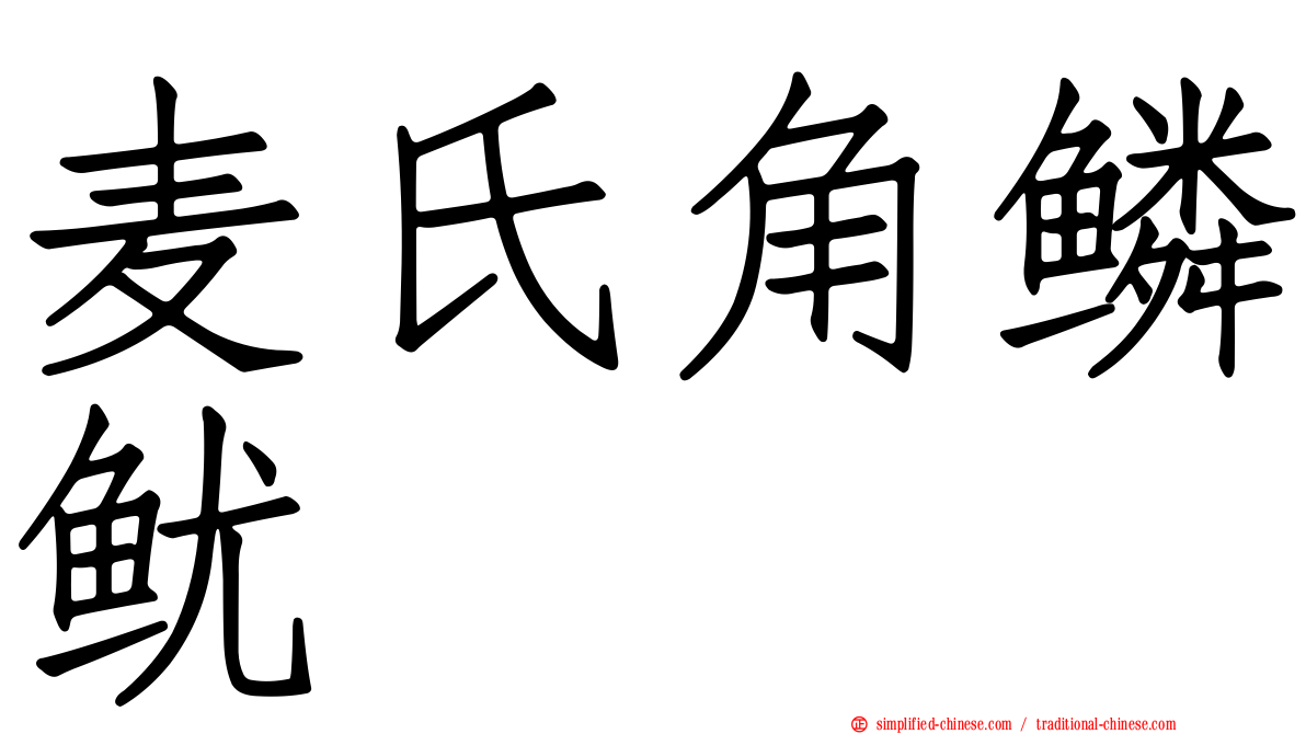 麦氏角鳞鱿