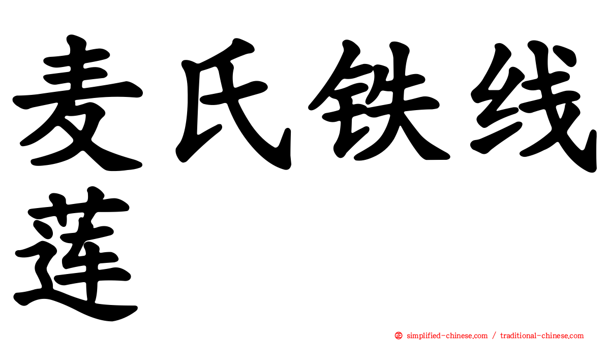 麦氏铁线莲