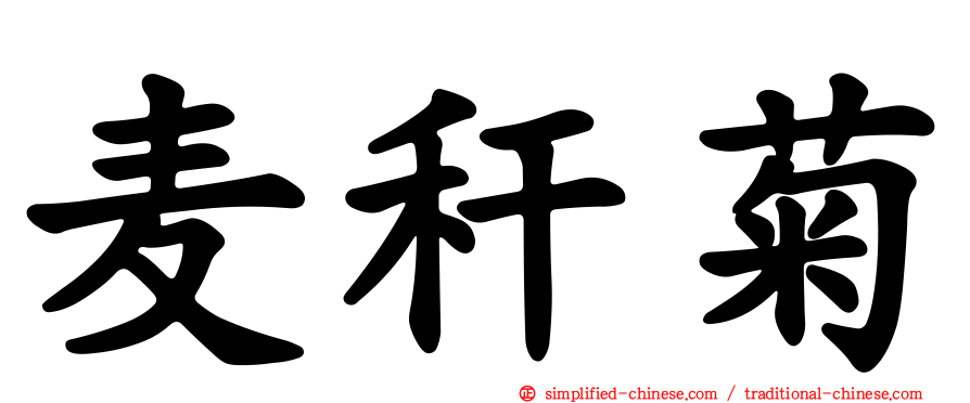 麦秆菊