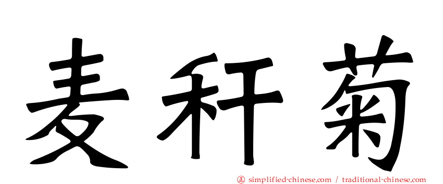 麦秆菊