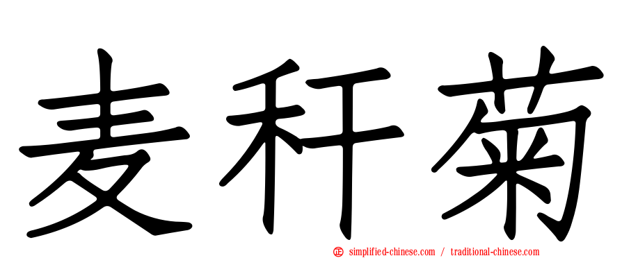 麦秆菊