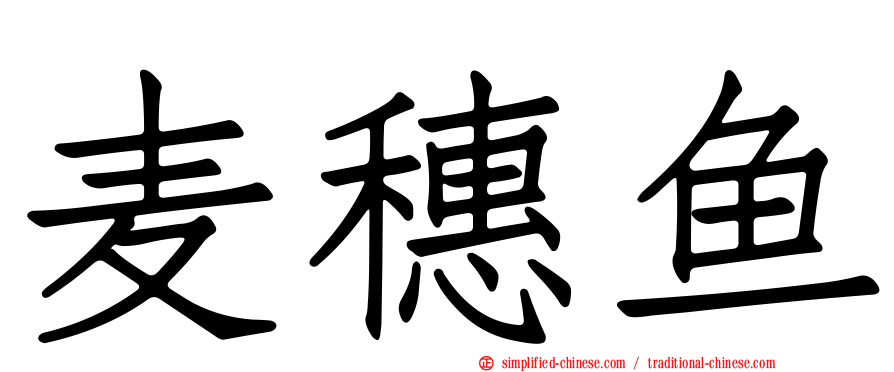 麦穗鱼